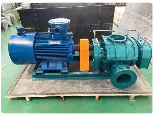 直聯(lián)傳動羅茨風(fēng)機(jī)工廠實(shí)拍