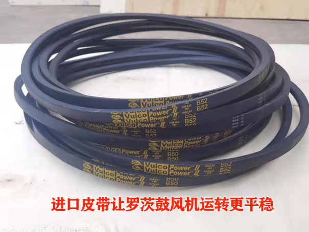 羅茨風(fēng)機(jī)皮帶 羅茨風(fēng)機(jī)皮帶