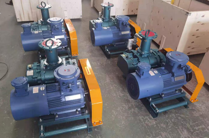 沼氣輸送羅茨風(fēng)機(jī) 沼氣輸送羅茨風(fēng)機(jī)